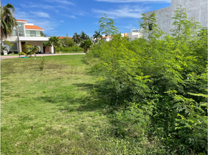 Venta Terreno CanCun