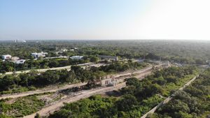 MIRADOR YUCATÁN