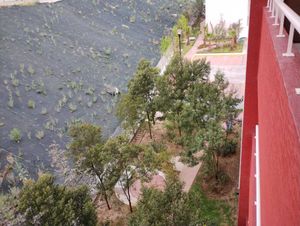 CASA DE AUTOR REMODELADA CON ROOF GARDEN, LAS AMÉRICAS NAUCALPAN