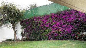 VENDO HERMOSA CASA EN JARDINES DEL PEDREGAL