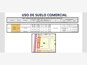 Terreno en Venta en Cancún (Internacional de Cancún) Benito Juárez