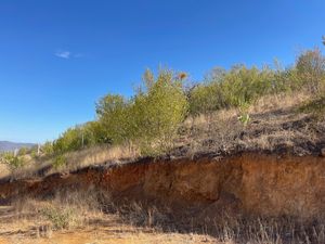 Terreno en Guadalupe Victoria