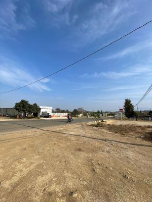 Terreno en carretera Ocotlán