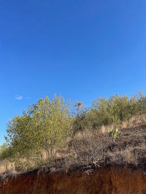 Terreno en Guadalupe Victoria