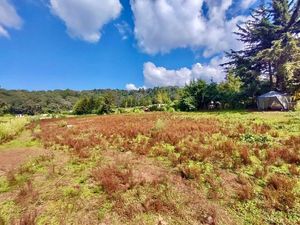 TERRENO EN VENTA, SANTO TOMAS DEL PEDREGAL