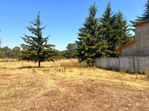 TERRENO EN VENTA, CUADRILLA DE DOLORES