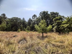 Terreno en Venta Oportunidad, El Temporal