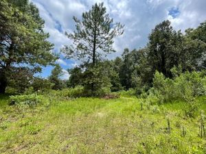 Venta de terreno en San Ramón