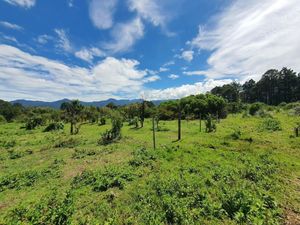 TERRENOS EN VENTA, LA CUADRILLA.