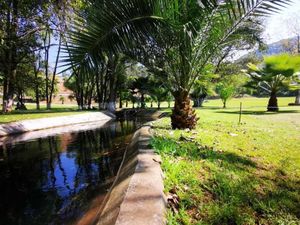 Terreno en Venta, Plano y con Abundante, Agua en Valle de Bravo.