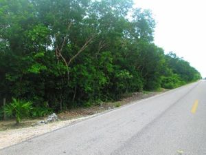 TERRENO EN VENTA, QUINTANA ROO