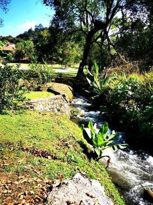 Terreno en Venta, Plano y con Abundante, Agua en Valle de Bravo.