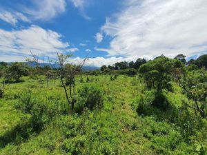 TERRENOS EN VENTA, LA CUADRILLA.