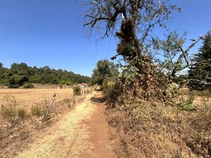 TERRENO EN VENTA, CUADRILLA DE DOLORES