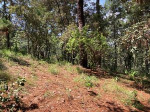 TERRENO EN VENTA EN VALLE DE BRAVO