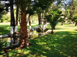 Terreno en Venta, Plano y con Abundante, Agua en Valle de Bravo.