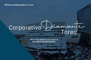 OFICINAS EN DIAMANTE  TOREO