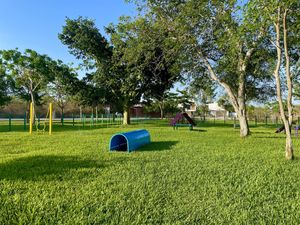 Parque Interior | Pet Park