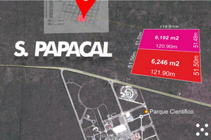 Terrenos/Lotes patrimoniales en Sierra Papacal al norte de Mérida