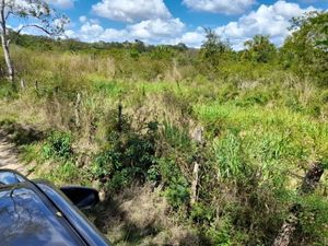 Se vende rancho de 40 hectáreas en Panabá