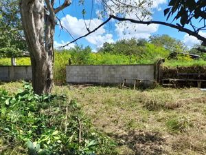 Se vende rancho de 40 hectáreas en Panabá