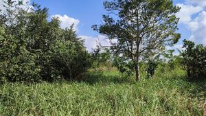 Se vende excelente terreno para invertir  en Tizimin Yucatán
