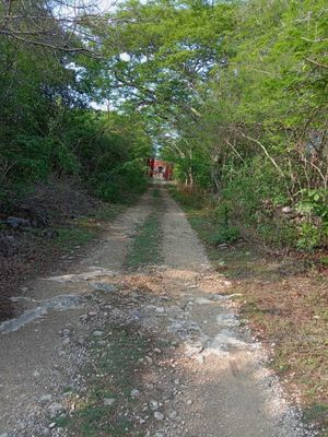 Se vende excelente rancho con cenote en Homún