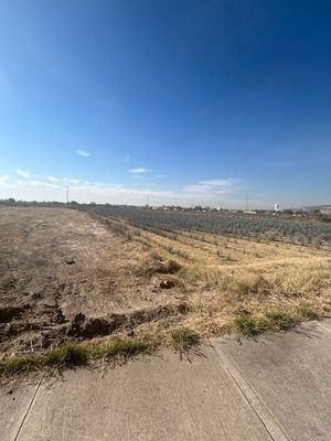 Terreno por el cuarto cinturon en Renta