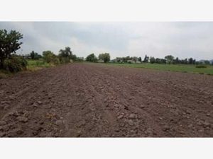 Terreno en Venta en Mangas Tezontepec de Aldama