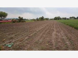 Terreno en Venta en Mangas Tezontepec de Aldama