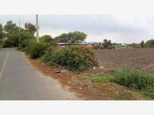 Terreno en Venta en Mangas Tezontepec de Aldama