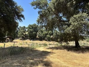 Venta de Terreno Campestre en Santa Verónica