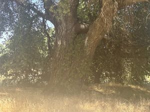 Venta de Terreno Campestre en Santa Verónica