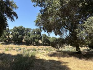 Venta de Terreno Campestre en Santa Verónica