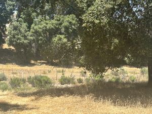 Venta de Terreno Campestre en Santa Verónica