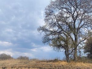 TERRENO EN VENTA EN RANCHO SAN JUAN, ATIZAPÁN DE ZARAGOZA