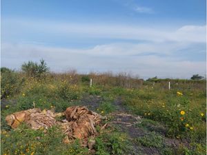 Terreno en Venta en Gabriel Tepepa Tlaquiltenango