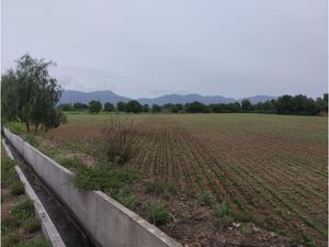 Terreno en Venta en La Ranchería Progreso de Obregón