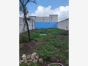 Terreno en Venta en El Calvario Mixquiahuala de Juárez