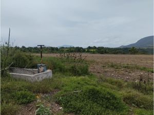 Terreno en Venta en La Ranchería Progreso de Obregón