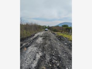 Terreno en Venta en Gabriel Tepepa Tlaquiltenango