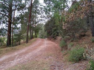 Terreno en Venta en Ciénega Grande Omitlán de Juárez