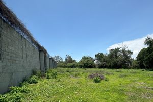 TERRENO EN RENTA SAN ANTONIO