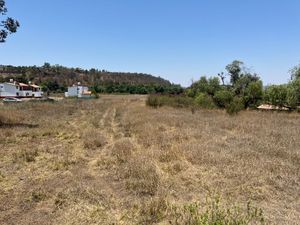 TERRENO EN VENTA LA MORA TAPALPA JALISCO