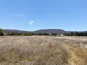 TERRENO EN VENTA LA MORA TAPALPA JALISCO