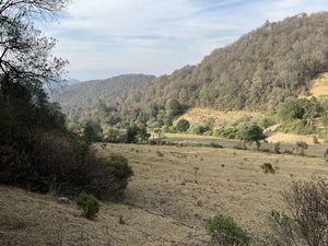 Terreno en Venta en PALO HUECO