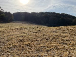 Terreno en Venta en PALO HUECO