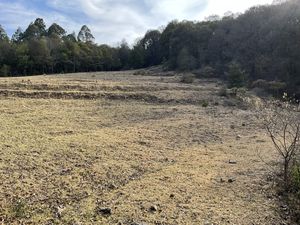 Terreno en Venta en PALO HUECO