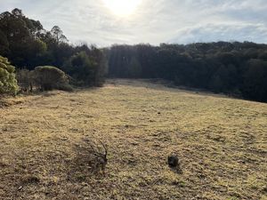 Terreno en Venta en PALO HUECO