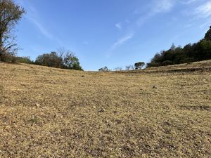 Terreno en Venta en PALO HUECO